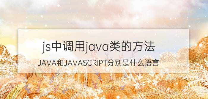 js中调用java类的方法 JAVA和JAVASCRIPT分别是什么语言？